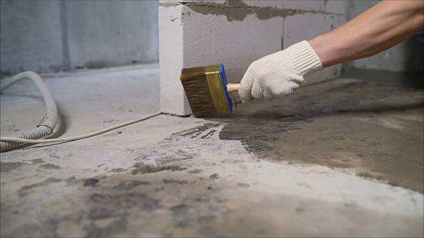 SJ Waterproofing Pros Emergency Waterproofing coverage map for Wayne, MI and surrounding area